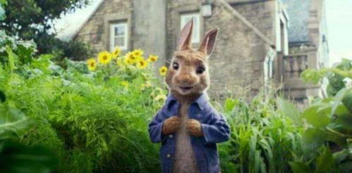 兔子洞口的隐形陷阱