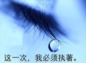十二生肖与泪河