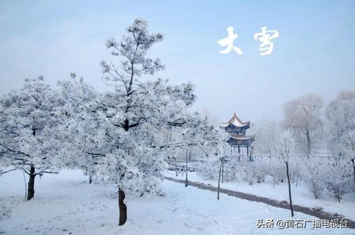 大雪节气前是哪个节气？大雪节气18张照片如何描述？