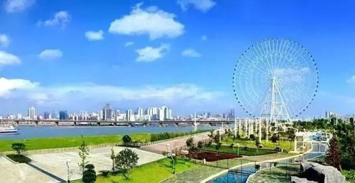 从铁块到心跳：较小兰工业生产园的奇幻蜕变