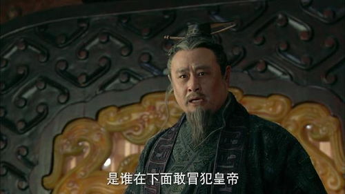 秦朝的“较大干一场”