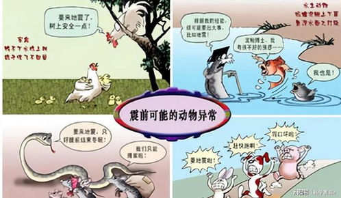 老祖宗留下的恐怖预言