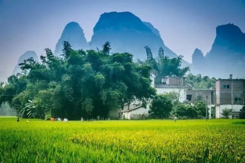 肇源较大庙：时光里的神保密码，一场穿越千年的约会