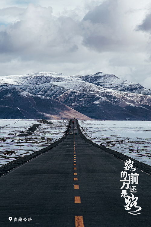 一场说走就走的京藏之旅