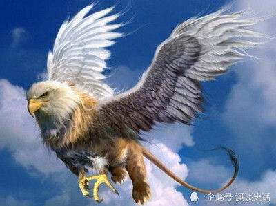 金翅大鹏？就是个鸟人！