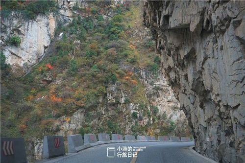 五、 自驾穿越秦岭—一路风景与故事交织