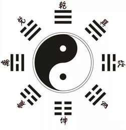 六、八卦趣闻—关于“杨光乐”的各种奇葩传说