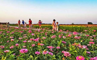 霜降：秋意浓，赏菊品蟹，养生正当时！