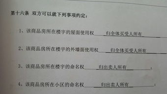 属猪的，有福之人