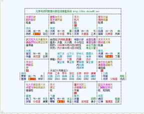 紫微八字流日运势如何？神巴巴紫微个人运势预测精准吗？