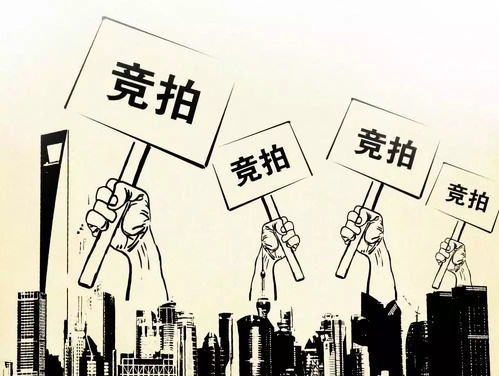 十二生肖发癫指南