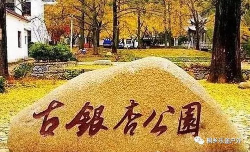门票打折？笑死！根本就是智商税