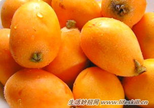 .饮食搭配与注意事项.