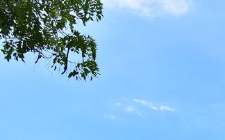 八字命硬：究竟是什么意思？