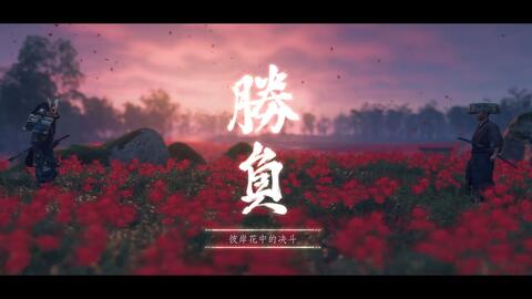 紫微斗数的启示（可能吧）