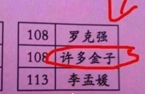 霍宝宝，抖音上霍姓名字怎么取才既独特又好听呢？