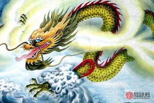 1976年属龙的人的性格特点