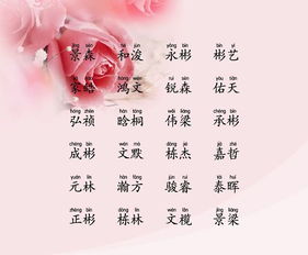 名字的艺术创作：不拘一格的创意