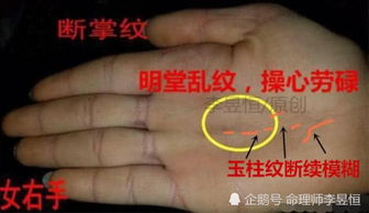 救命！长尾巴的岛纹太吓人了