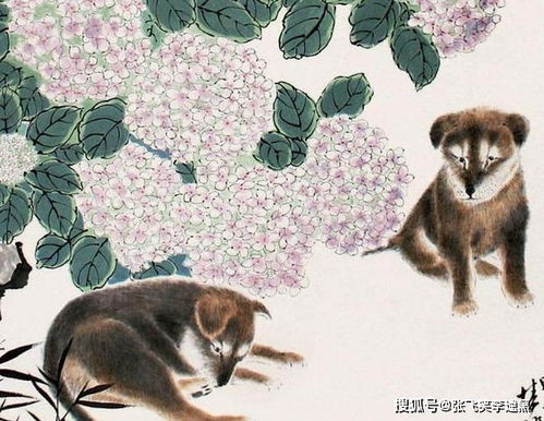 年富力强的动物生肖是什么？浑身雪白的动物生肖又是哪位？