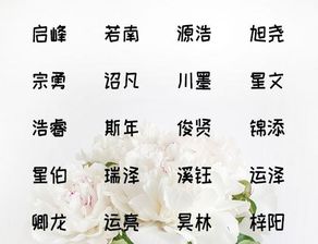 良好了良好了,进入正题:2025年属啥?先搞清楚再说!