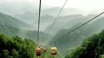 下高速后的惊魂时刻：S239省道的考验