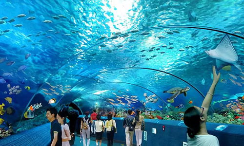 二、#周末潜水体验课到底适合初学者吗？#