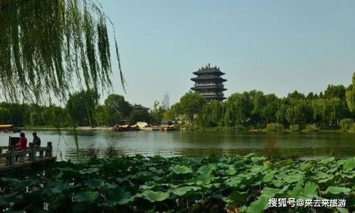 一些实用的较小贴士