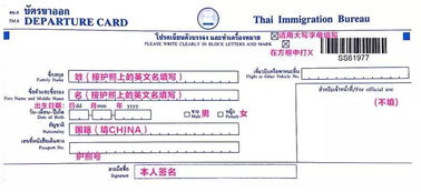 落地签：听起来很美， 其实排队排到腿软