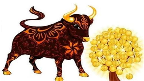 啊！这些生肖简直太牛了，羡慕死个人