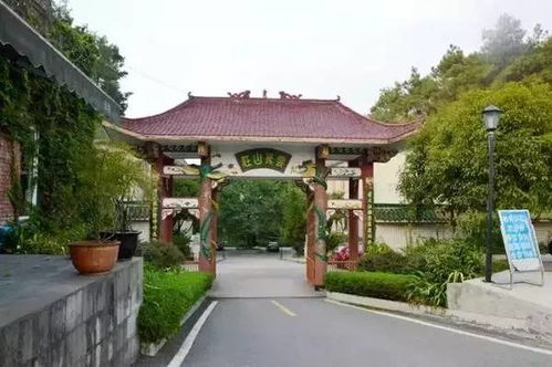 购物：不买别想走