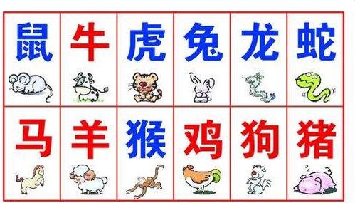 23岁的人属什么生肖？