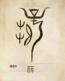 先唠唠薛家:这姓氏自带一股“老干部风”,起错了像居委会主任