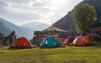 行业的悲哀：快时尚的入侵让专业无处安放