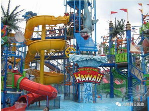 餐饮黑幕！园区食物贵到离谱