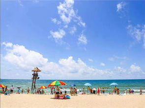 那些年我们踩过的坑，笑中带泪