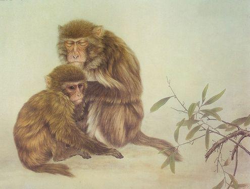 属虎女和属猴男婚姻是否和谐，老板属猴下属属虎意味着什么？