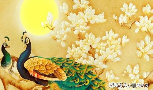 属猴老婆和属马老公的八字算命结果如何？