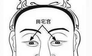 震惊！2026年这些人要倒大霉？面相暗藏惊天秘密