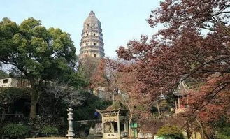 不同人群不同玩法