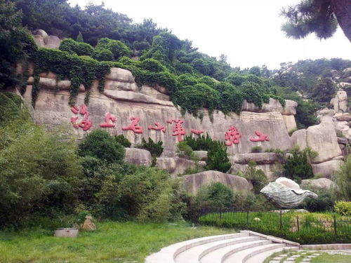 耐冬树：让恶龙变成绿油油的一棵树