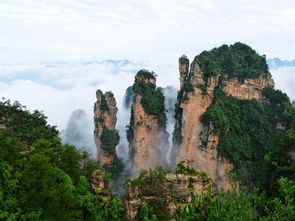 优惠？呵呵，简直是场大型诈骗现场