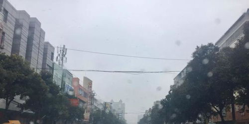 二、信阳周边那些乱七八糟的推荐（随便挑挑拣拣）