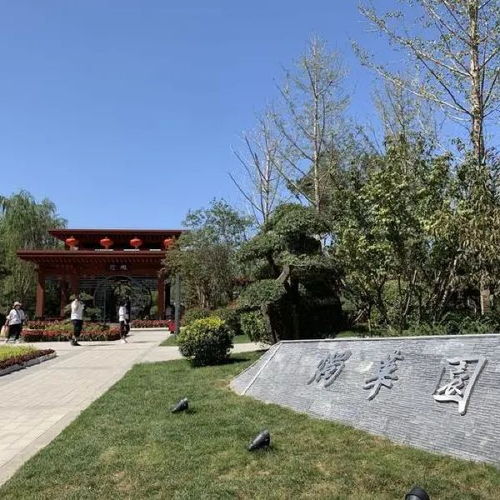 张家口园博园：一个让你钱包哭泣的魔幻现实主义乐园