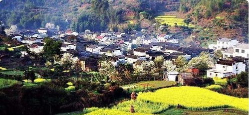 西递村：白墙黛瓦里隐藏哪些保密？