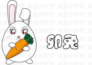 十二生肖财运秘籍图表预示财运的抖音视频具体内容是什么？