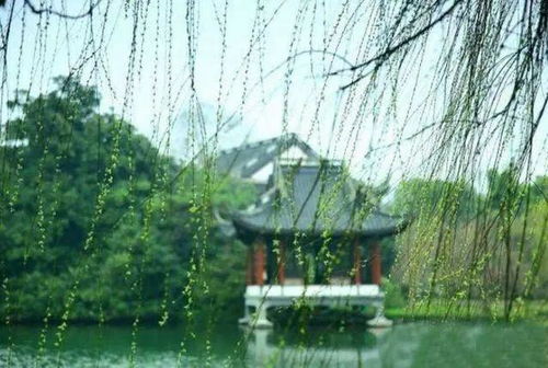 适合人群：