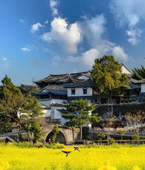 云南旅行淡季