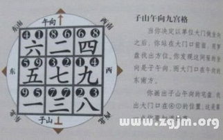 别再傻乎乎花钱报班了真实的我都要气笑了