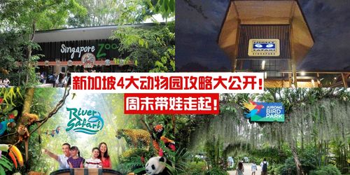 “千年苗韵融水年，传承风情爆款来袭”